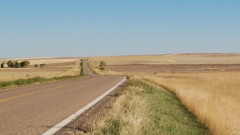 A two-lane highway curving across golden grassland on Montana's Hi-Line under a clear sky