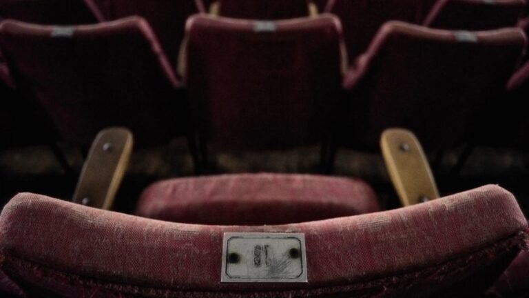 Rows of red velvet seats in an empty movie theater